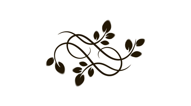 A minimalist illustration of intertwined vines with leaves on a white background.