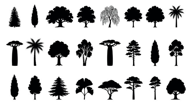 Collection of diverse tree silhouettes representing various species found in different ecosystems and climates, including palm, baobab, cypress, and coniferous trees