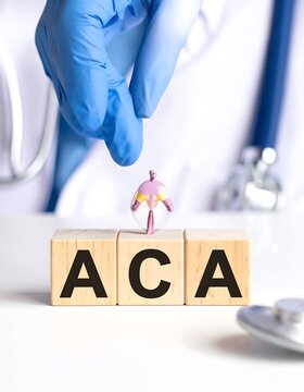 Medical professional interacting with aca letters and an anatomical model