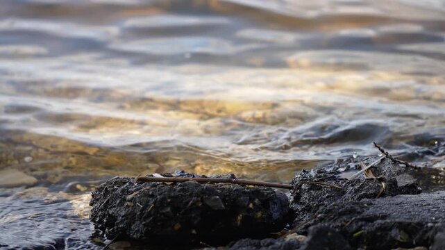 Water gently meets the dark, textured shore, creating delicate ripples. Golden light dances on the surface as small waves softly caress the rocks, a tiny stick resting peacefully on the edge.