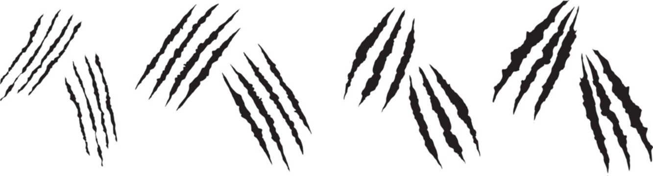 Black claw scratch marks collection featuring aggressive grunge slash textures and sharp ripped line effects. Abstract animal scratch streaks with distressed ink style isolated on white background for
