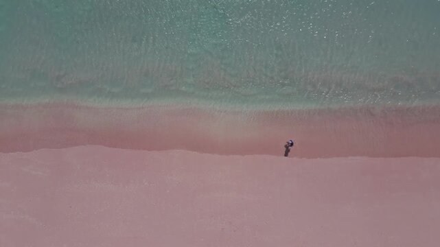Stunning top down drone shot of rare pink sand beach Komodo Islands Indonesia screen split between vivid pink sand and crystal clear turquoise blue ocean water