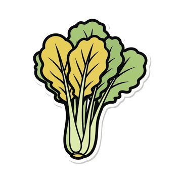 Yellow and green leafy vegetable plant.