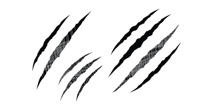 Illustration of black animal claw marks or scratch tears on a white background representing predator attack or damage.