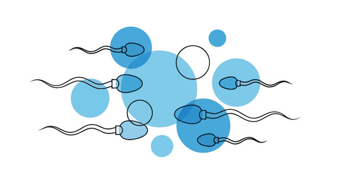Sperm and Egg Cell Minimalist Vector Illustration