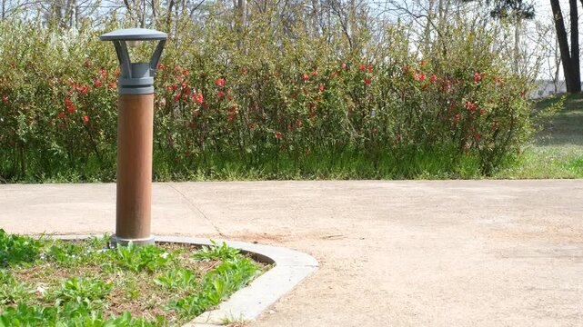 A man in blue jeans and sneakers rides an electric unicycle in park, side view.