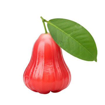 A single ripe red rose apple, also known as wax apple or jambu, with a bright green leaf attached, isolated against a solid black background