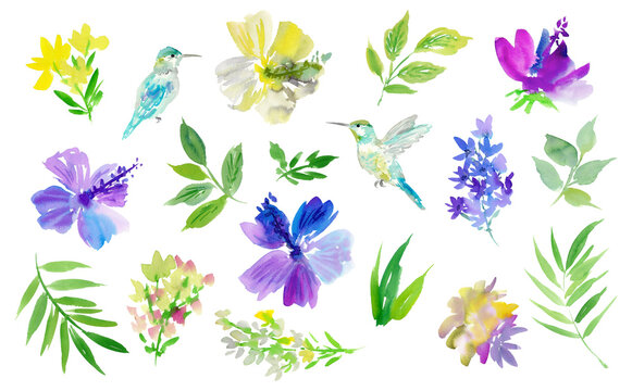 Watercolor summer floral clipart set with abstract hand painted purple and white hibiscus, tropical leaves, flowers and humming bird for stationary, wedding invitation and banner. PNG file.