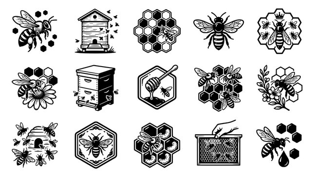 Bees hand drawn set with honeycombs and hives in black and white illustrations featuring bee, honeybees, insects with insect and apian elements for