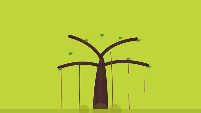 Banyan Tree With Descending Aerial Roots Animation