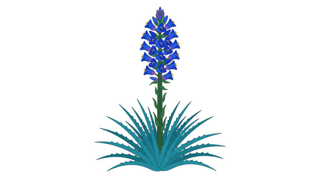 vector of a blue puya