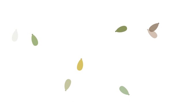 abstract sycamore tree with spinning seeds on white