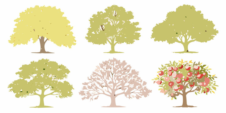 watercolor trees depicting seasonal changes isolated on white