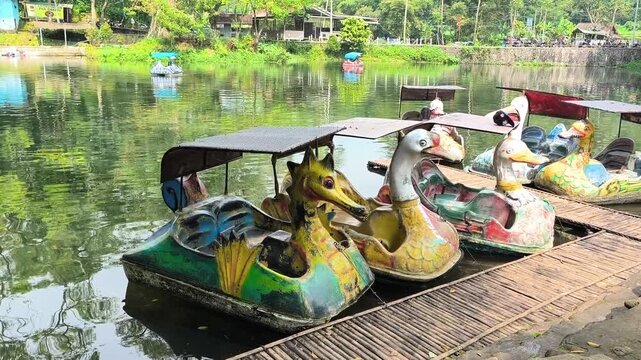 Colorful swan pedal boats docked at a serene lake in tropical forest park showing peaceful outdoor recreation nature lifestyle summer vacation and eco tourism concept in a green forest environment