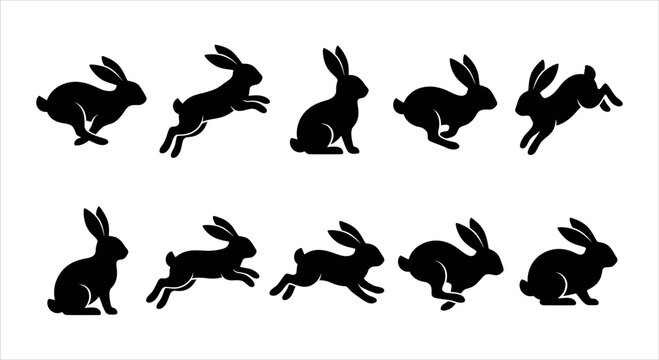 Dynamic animation sequence of a running rabbit in various action poses