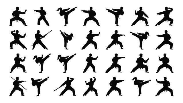 Collection of martial arts silhouettes depicting various fighting poses against a white background silhouette