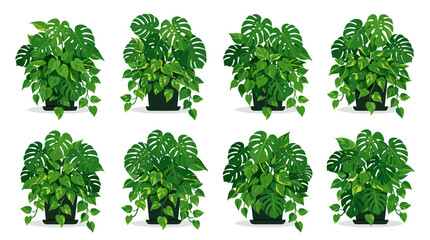 Naklejka premium Collection of eight potted houseplants featuring lush green foliage and trailing vines, perfect for home decor and interior design inspiration