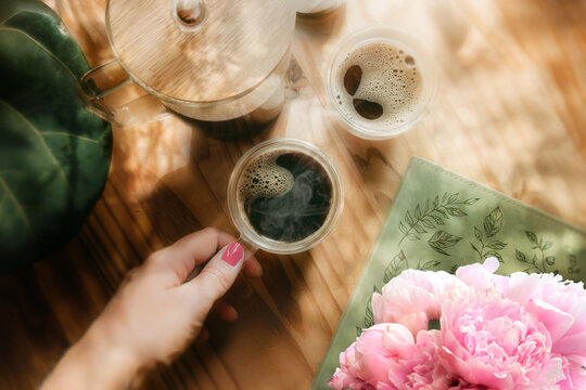 Hand Holding a Cup of coffee in Sunlight