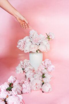 Woman&rsquo;s Hand Reaching for Flower Vase of Peonies