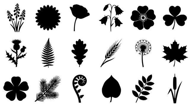 Black silhouettes of various flowers and leaves on white background