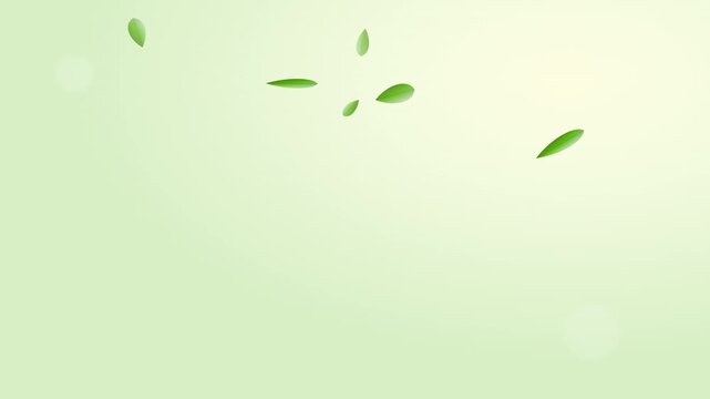 abstract 3d floating leaves nature motion background