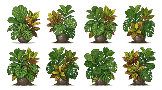 Collection of eight potted houseplants including fiddle leaf fig and monstera deliciosa with croton plants in decorative pots isolated on white background