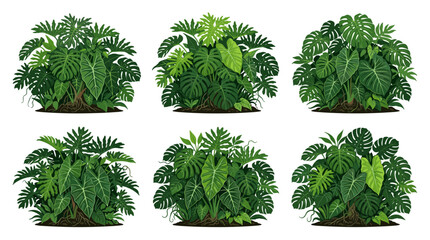 Naklejka premium Collection of six lush green tropical plants and foliage with detailed leaves and roots on a white background