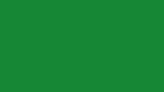 Hand Drawn 2D Animated Pink Shooting Star Cartoon Motion Graphic Element on Green Screen