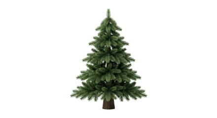 Fototapeta premium Classic unadorned green Christmas pine tree isolated on transparent background