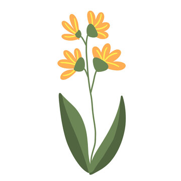 Microstock Plants and Flower