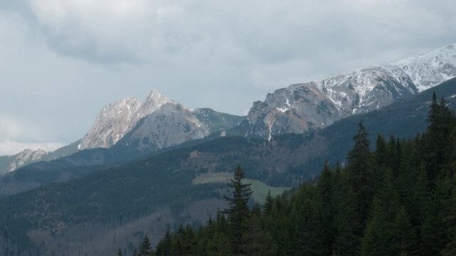 High altitude alpine landscape in Tatra National Park, Poland. Sharp rocky summits with snow patches tower above a dense evergreen pine forest under a dramatic cloudy sky in spring.