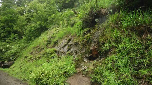 A scenic view of a rural dirt road surrounded by dense vegetation and geothermal activity.