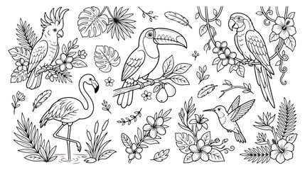 Tropical birds coloring page vector set, exotic jungle animals line art collection, flamingo and toucan outline illustrations for kids activity © Ch