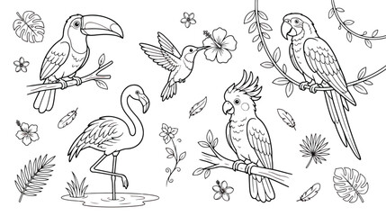 Tropical birds coloring page vector set, exotic jungle animals line art with flamingo and parrot, botanical floral outline illustrations for kids © Ch