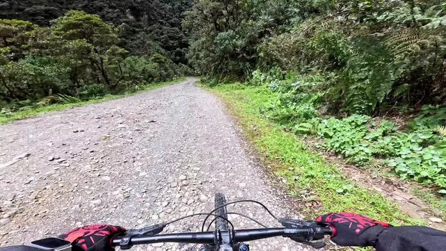 Point of View of Mountain Biking on the North Yungas Road, Death Road, La Paz, Bolivia