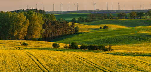 The intensely green spring fields of the Brandenburg region, Germany-Panorama © Mike Mareen