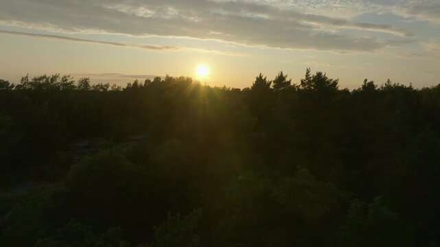 Beautiful Evening Sky and Bright Sunbeams Over Coastal Forest Landscape, AERIAL