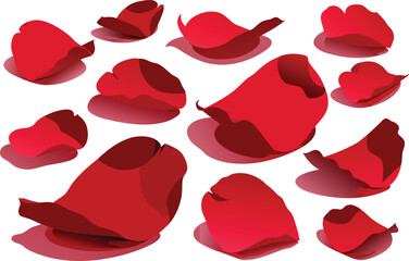 Fototapeta premium Set of scattered red rose flower petals