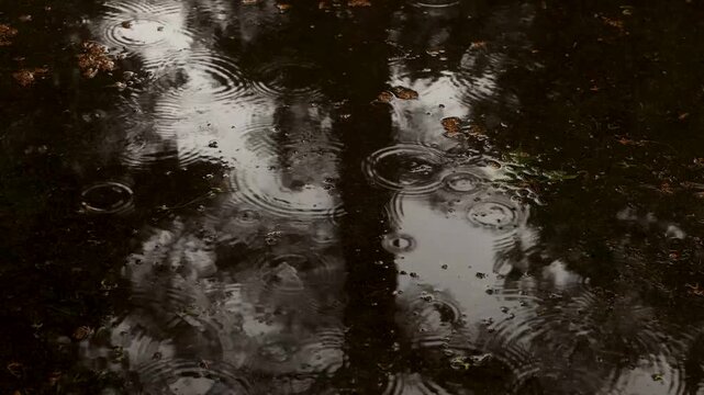 Rain ripples in a dark puddle with tree reflections on a gloomy day