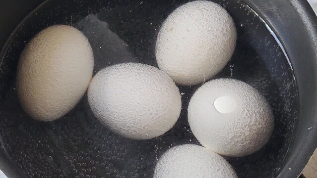 White chicken eggs are boiling in a black pot in the water