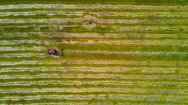 Agricultural Machine Towed by a Tractor Turning and Raking Silage in a Large Green Field
