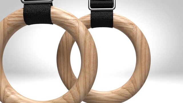 Gymnastic Rings Hanging with Straps, Sports Equipment, Fitness Training