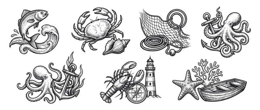 Detailed black and white engraving style illustrations of various marine life and nautical objects, showcasing a classic vintage aesthetic