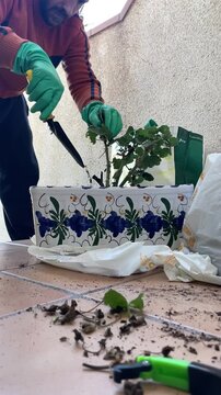 Jardiner&iacute;a con jardinero con guantes, maceta, geranio, pala, tierra y abono cuidado y mantenimiento