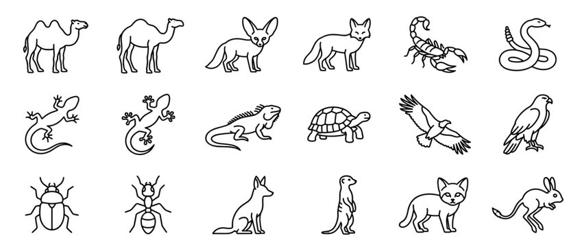 Collection of fifteen black outline desert animal icons, including camels, foxes, scorpions, snakes, and lizards, presented in a clean, minimalist style