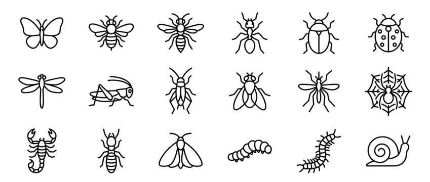 Collection of various insect and bug line art icons, featuring a clean, minimalist design style