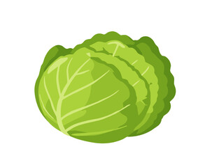 Obraz premium A fresh round green cabbage head with layered leaves isolated on transparent background. Crisp cartoon illustration suitable for vegetable, healthy food and organic themes.