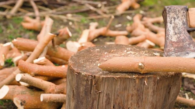 Axe stuck in wooden stump surrounded by chopped firewood branches close-up