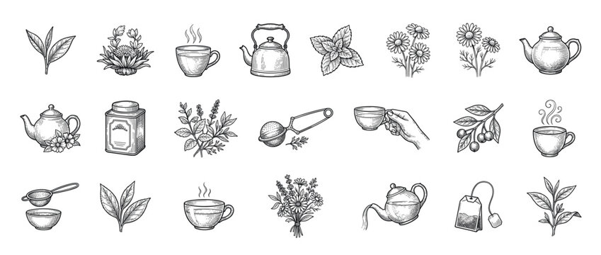 Various hand-drawn vintage tea elements including leaves, flowers, teapots, cups, and herbs in a classic engraving style