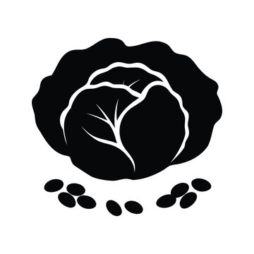 Black and white cabbage seeds and leaf silhouette vector illustration design, cabbage seeds silhouette vector illustration